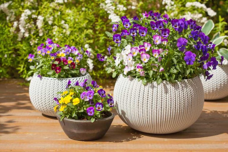 5 Container Garden Design Secrets