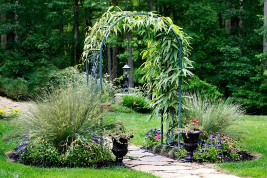 10 Easy Diy Garden Arbor And Arch Ideas 6720