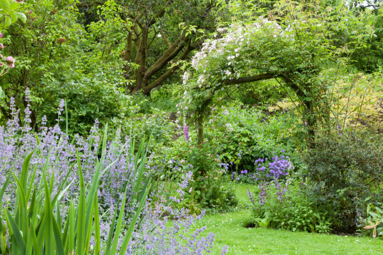 9 Cottage Garden Design Ideas To Add A Bit Of Whimsy To Your Backyard