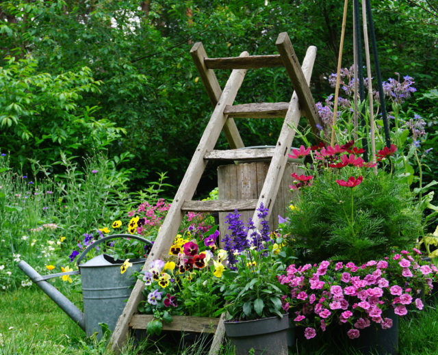 9 Cottage Garden Design Ideas To Add A Bit Of Whimsy To Your Backyard